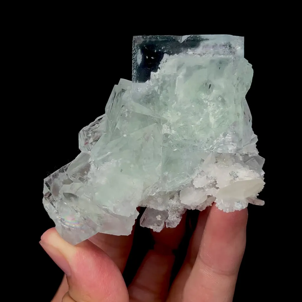 specimen video