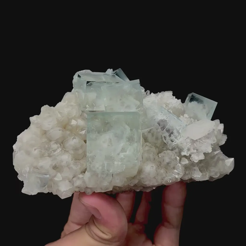 specimen video