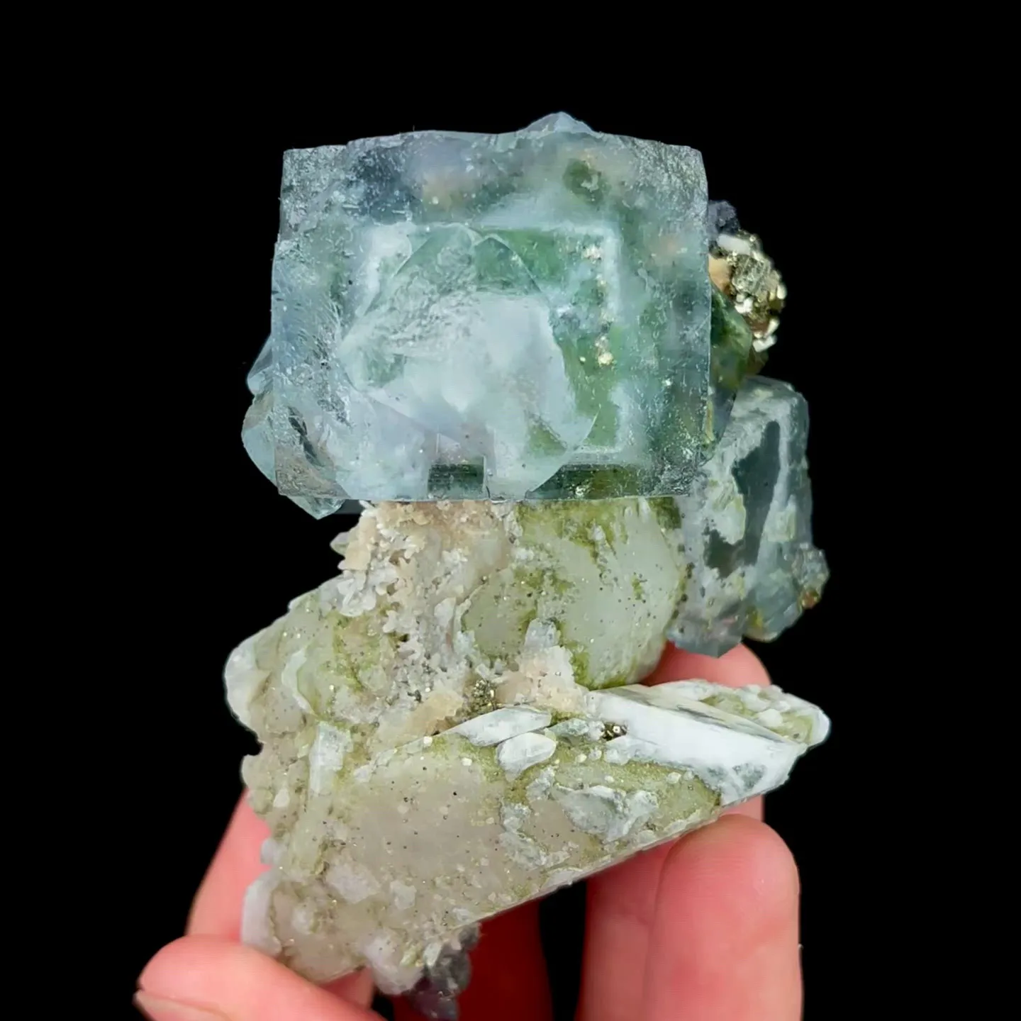 specimen video