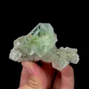 specimen video