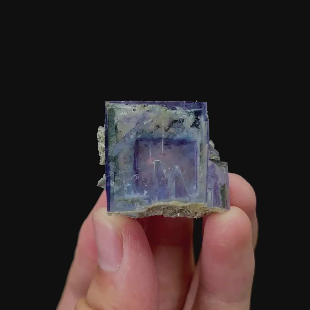 specimen video
