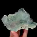 specimen video