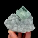 specimen video