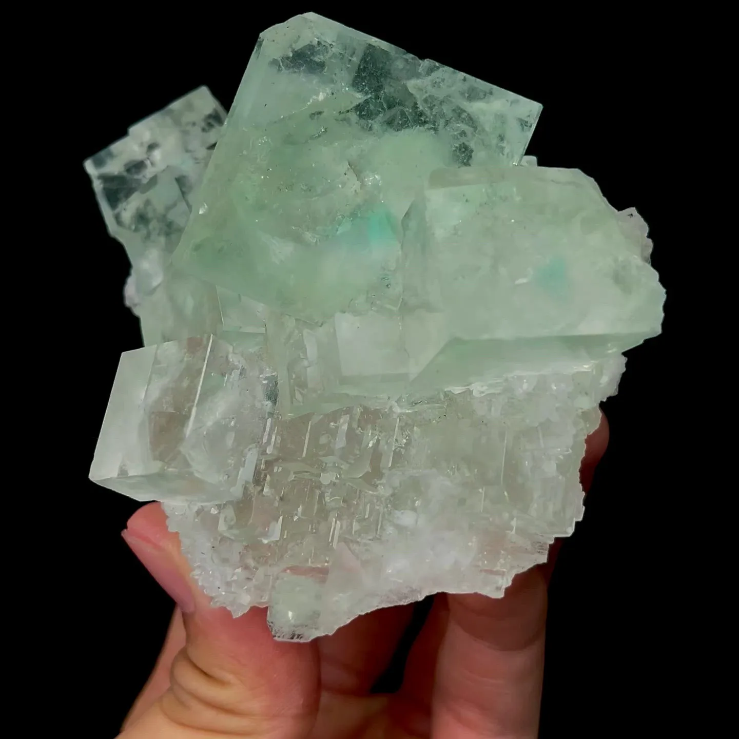 specimen video