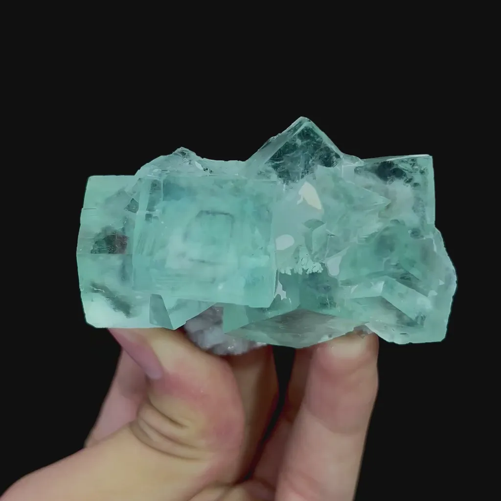 specimen video