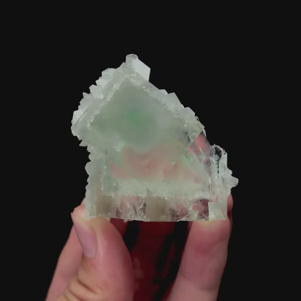specimen video