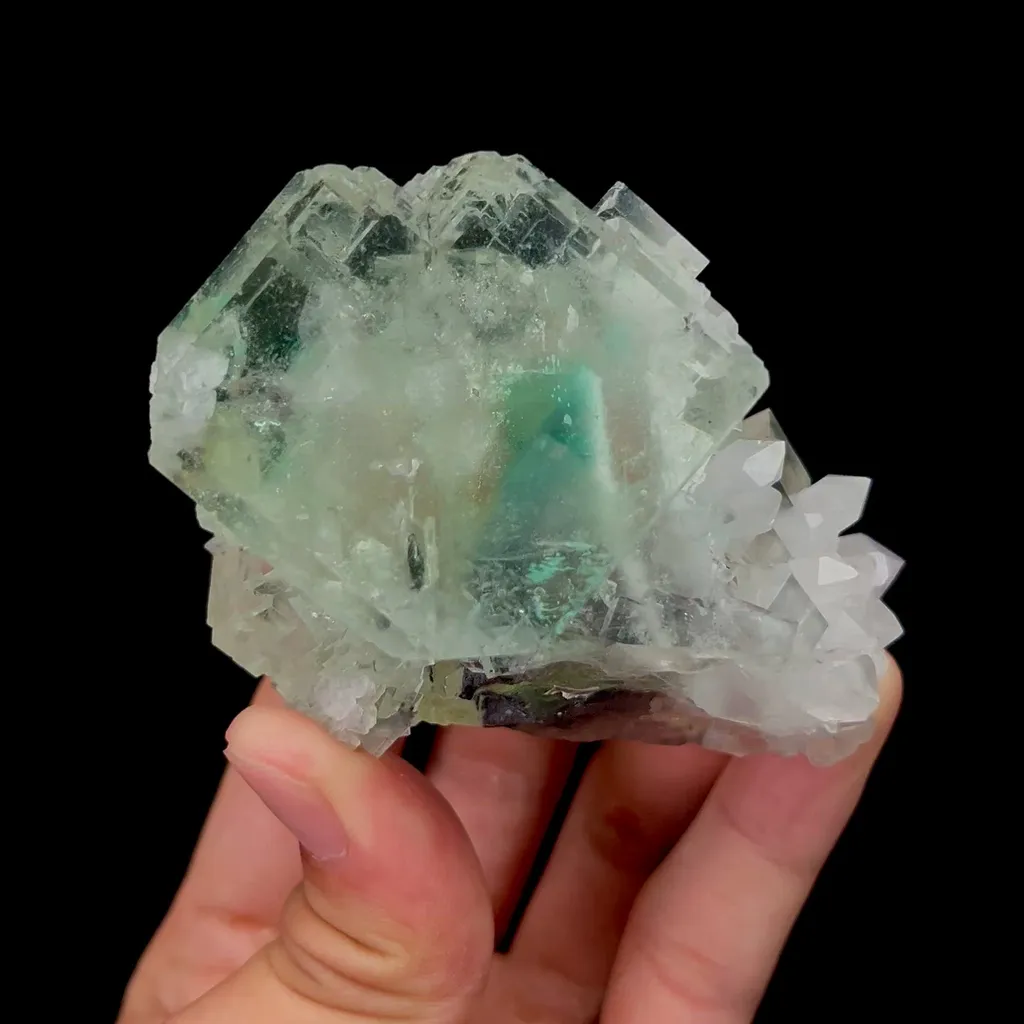 specimen video