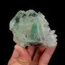 specimen video