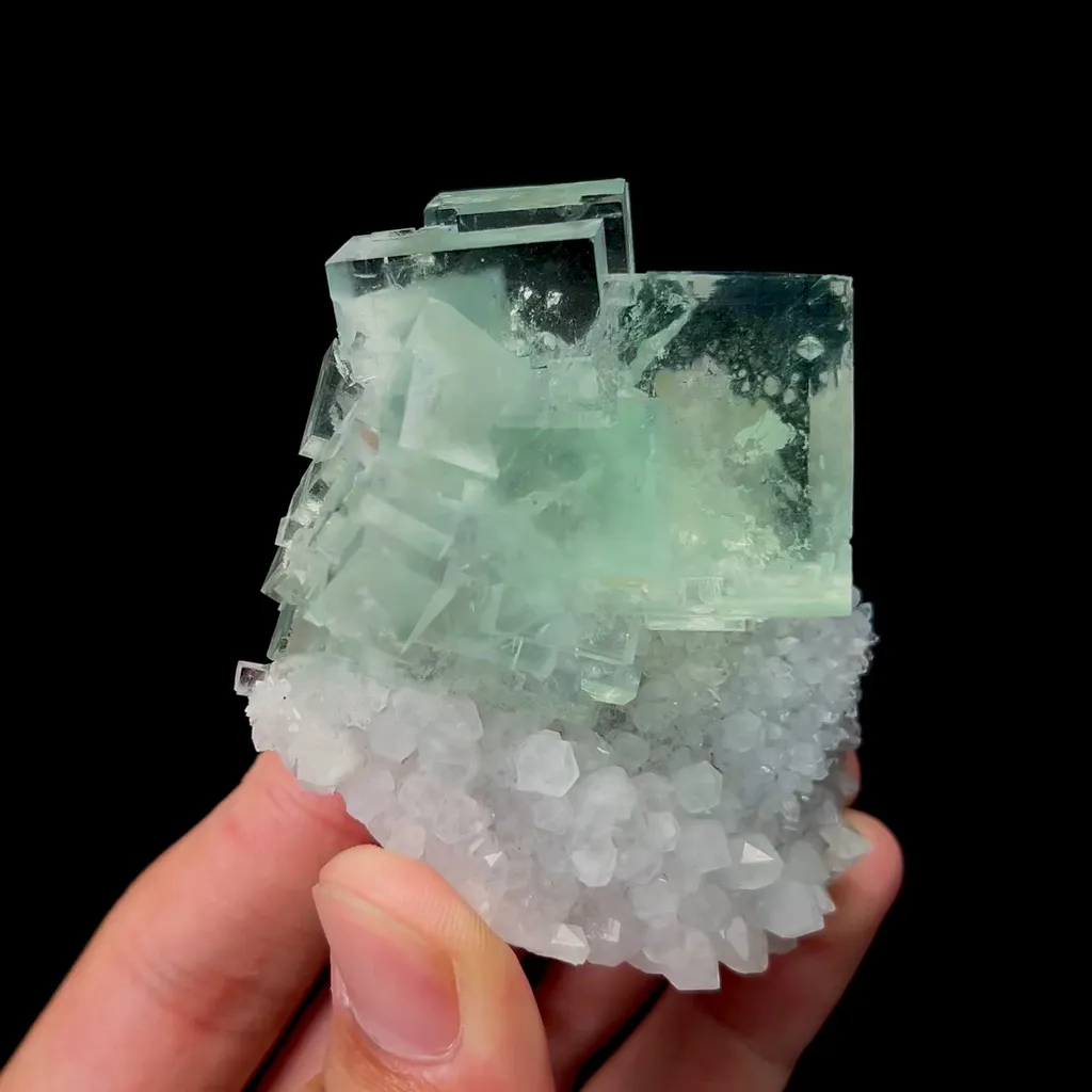 specimen video