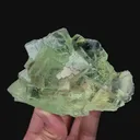 specimen video