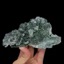 specimen video