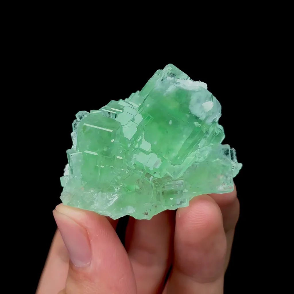 specimen video