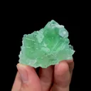 specimen video