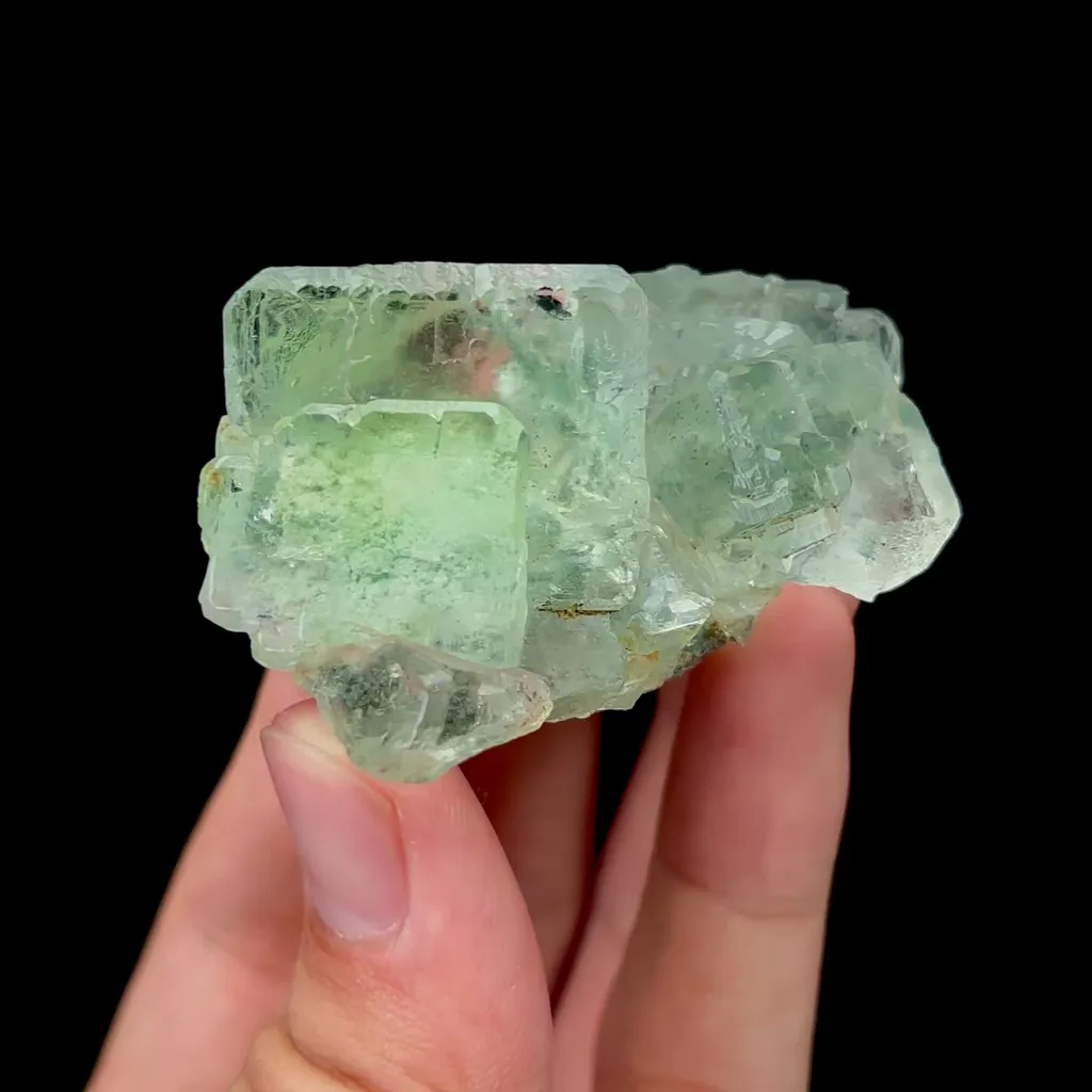 specimen video