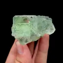 specimen video