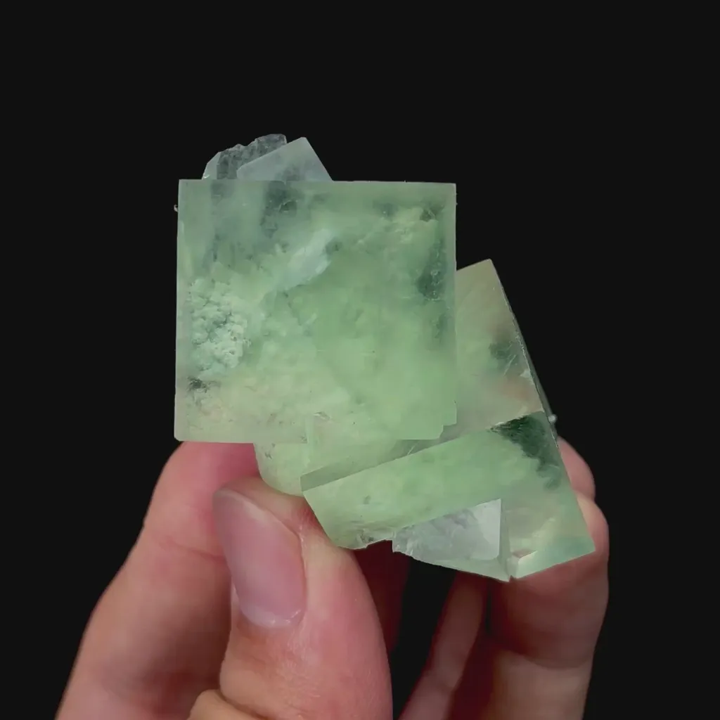 specimen video