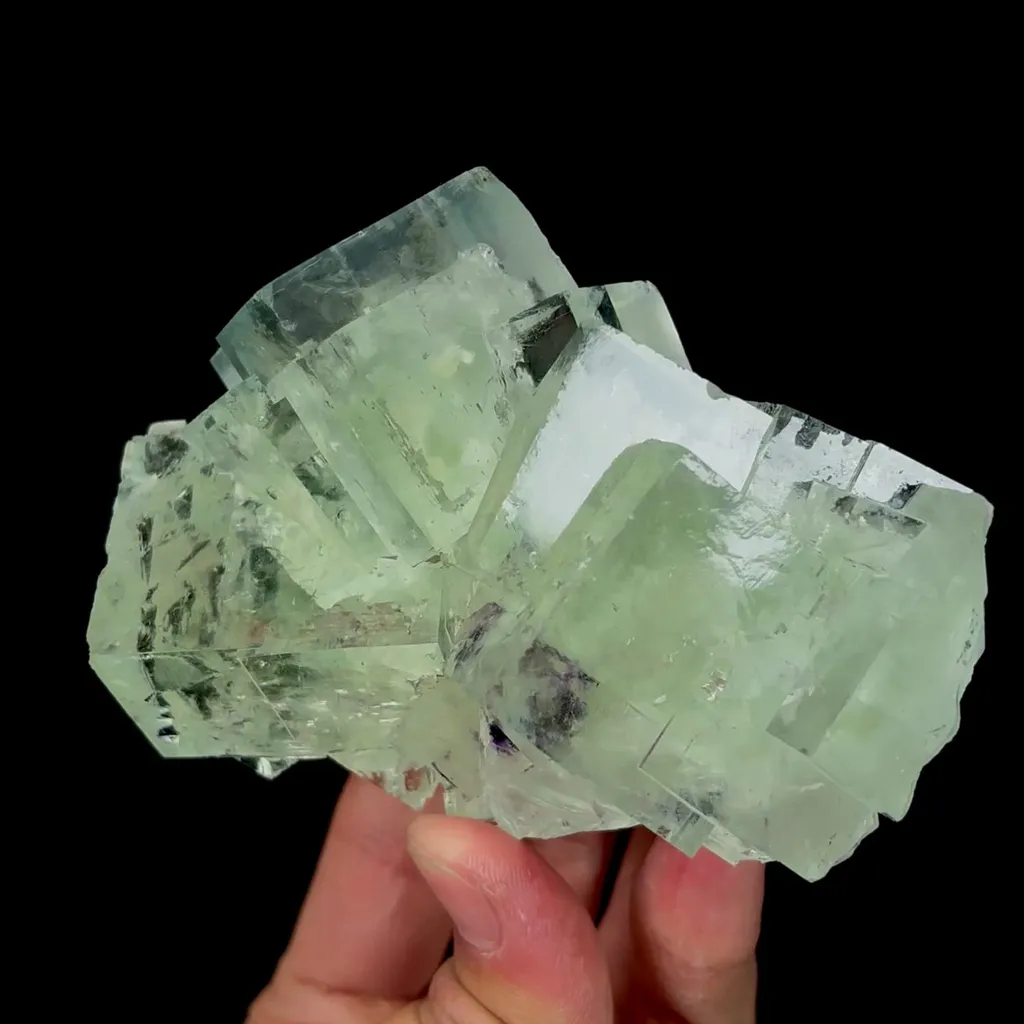 specimen video