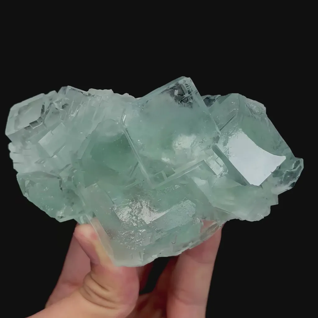specimen video