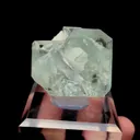 specimen video