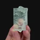 specimen video