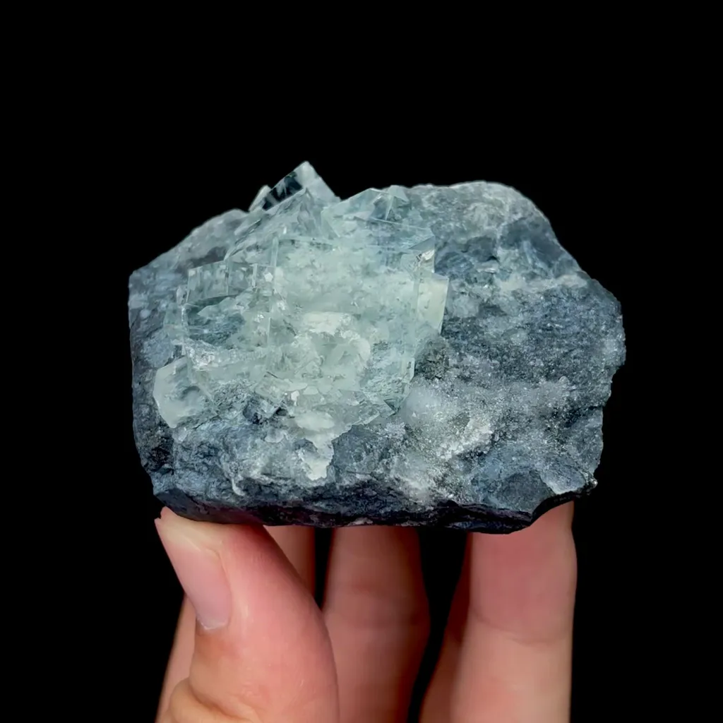 specimen video