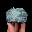 specimen video