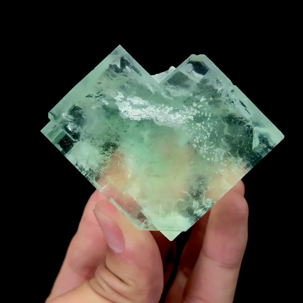 specimen video