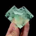 specimen video