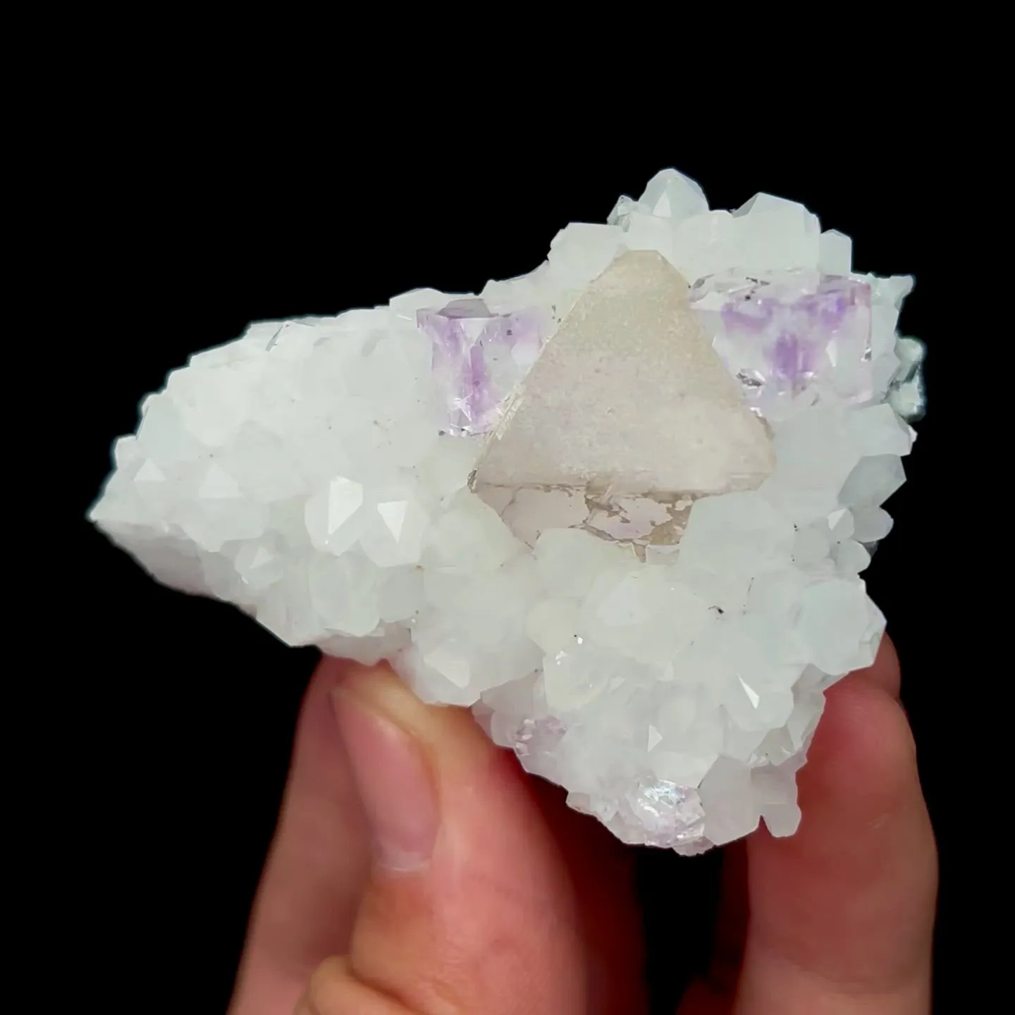 specimen video