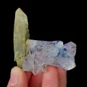 specimen video