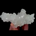 specimen video