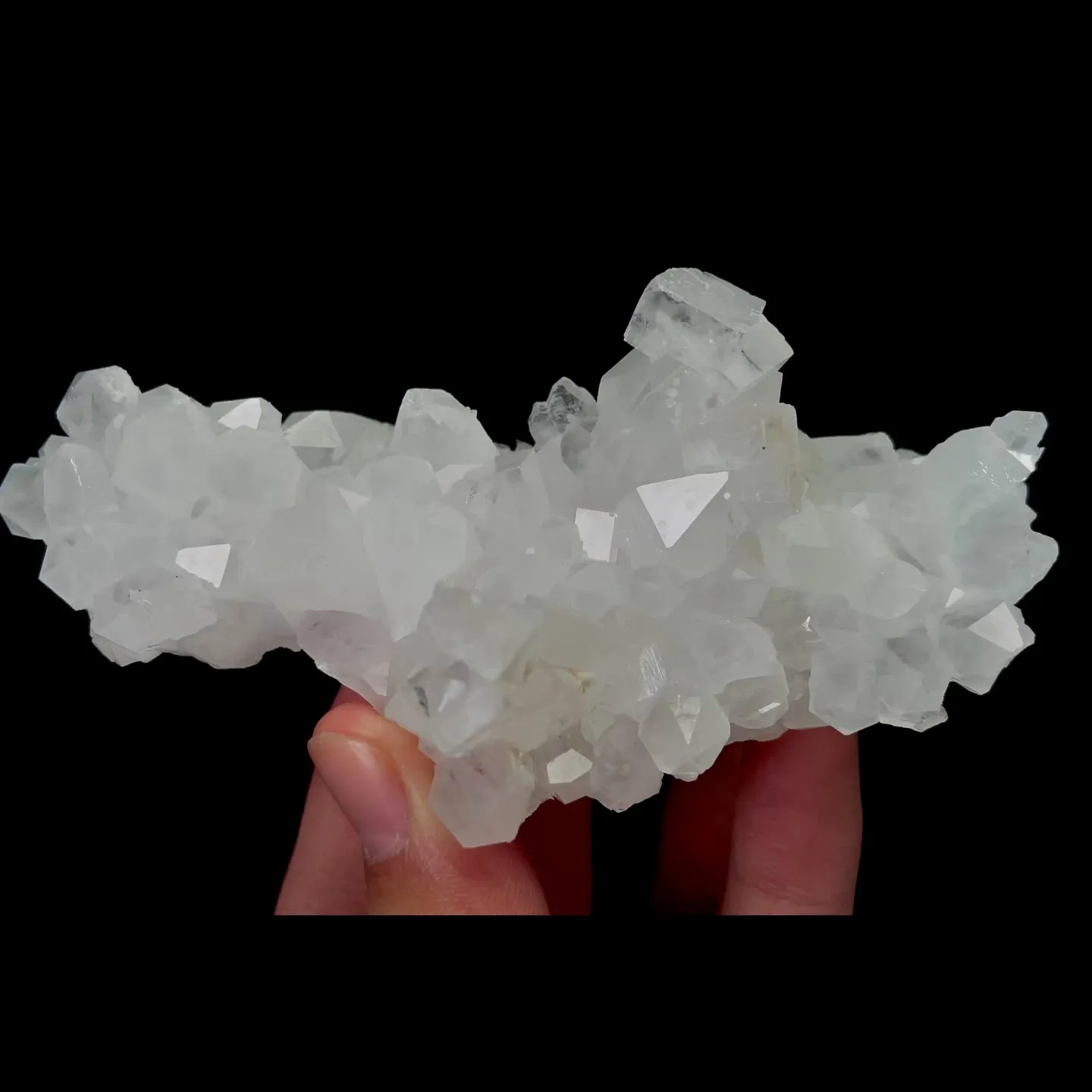 specimen video
