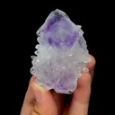 specimen video