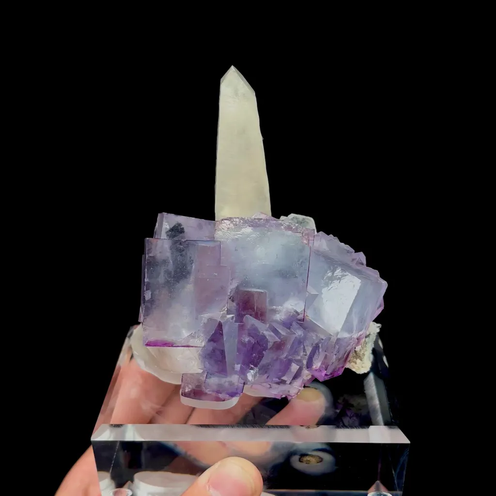 specimen video