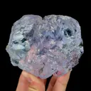 specimen video