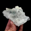 specimen video