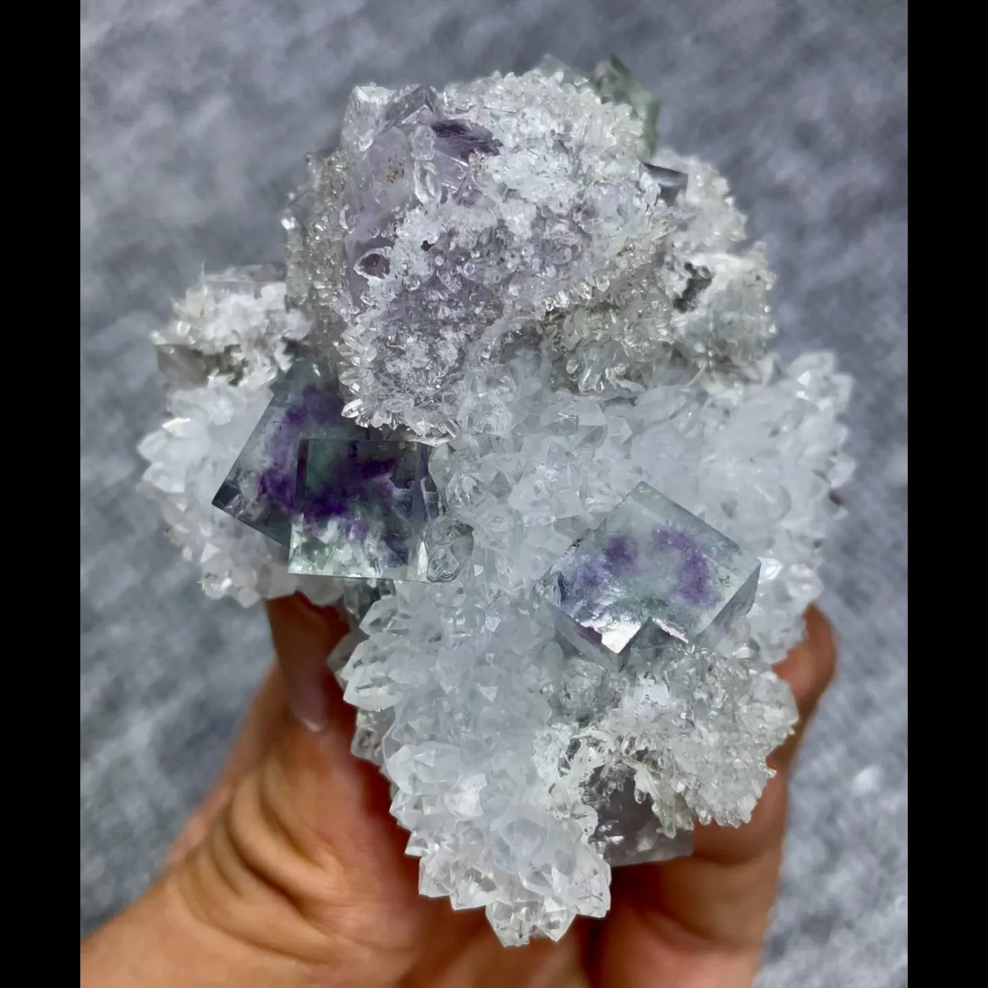specimen video