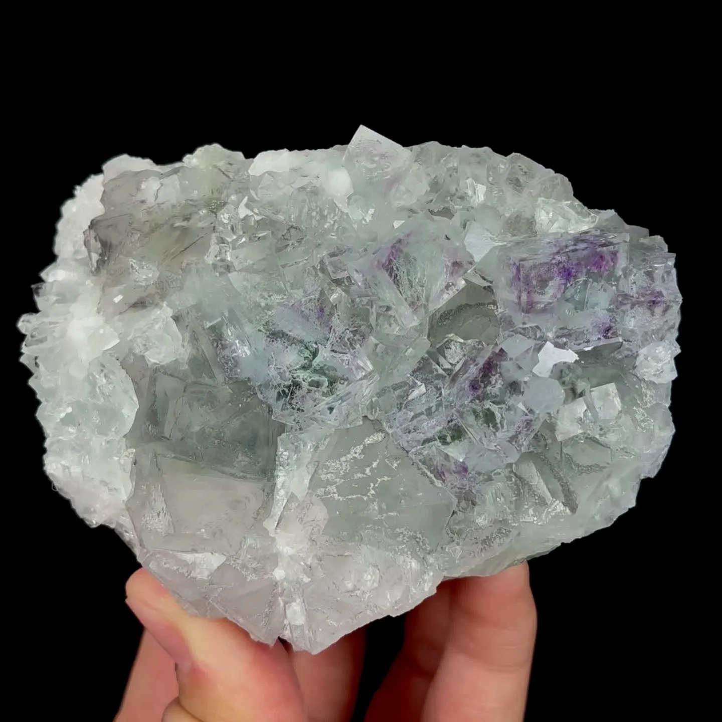 specimen video