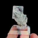 specimen video