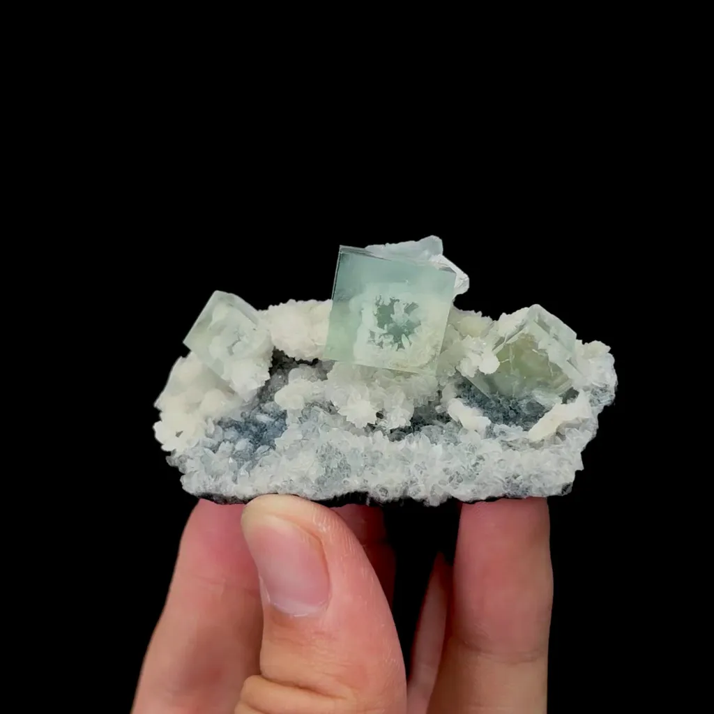 specimen video