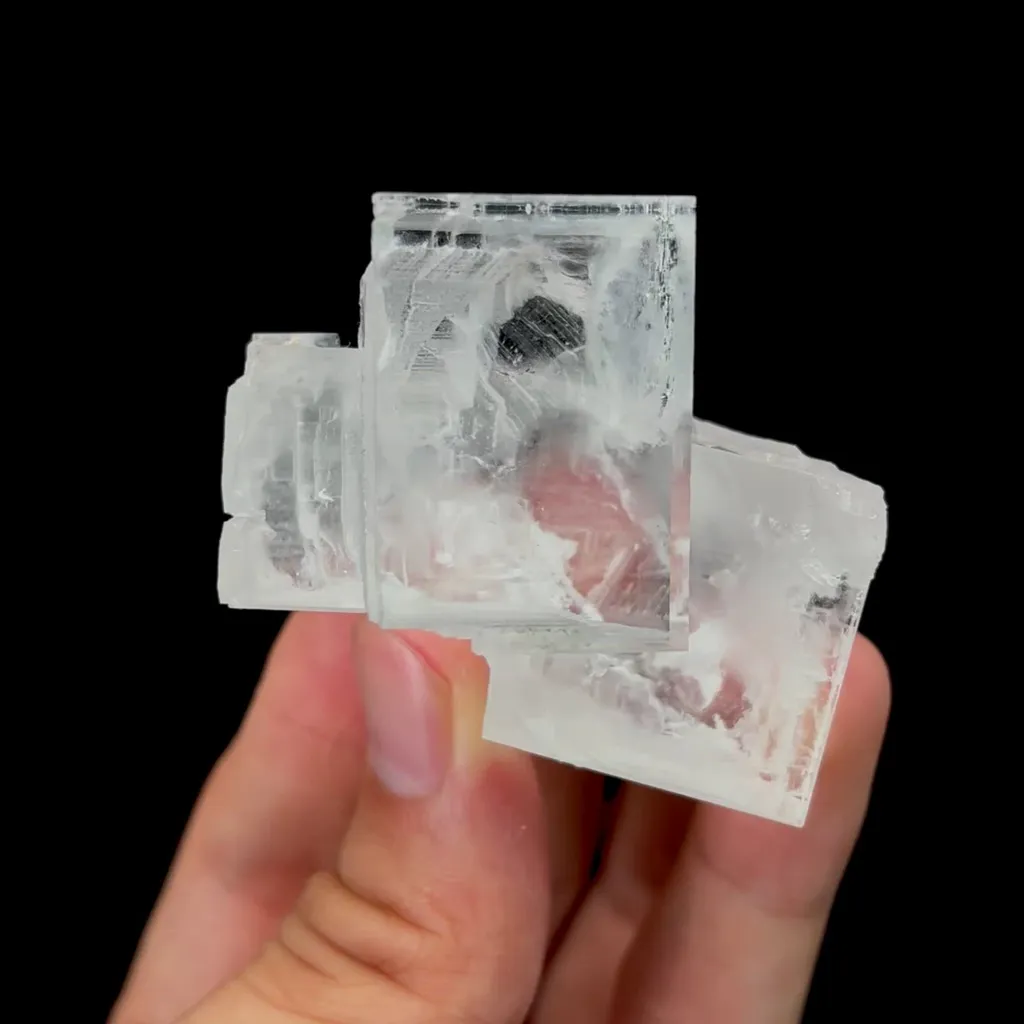 specimen video