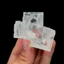 specimen video