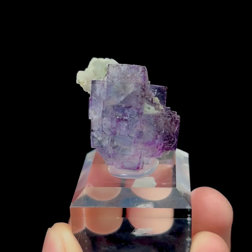 specimen video