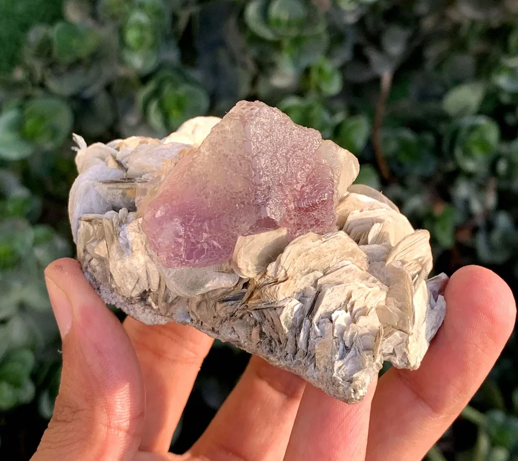 Natural Triangle Bicolor Fluorite Crystal on Muscovite Mica from Pakistan - image 8