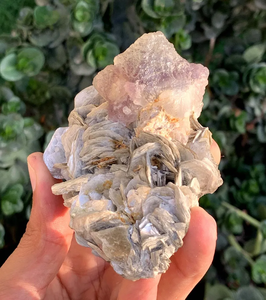 Natural Triangle Bicolor Fluorite Crystal on Muscovite Mica from Pakistan - image 3