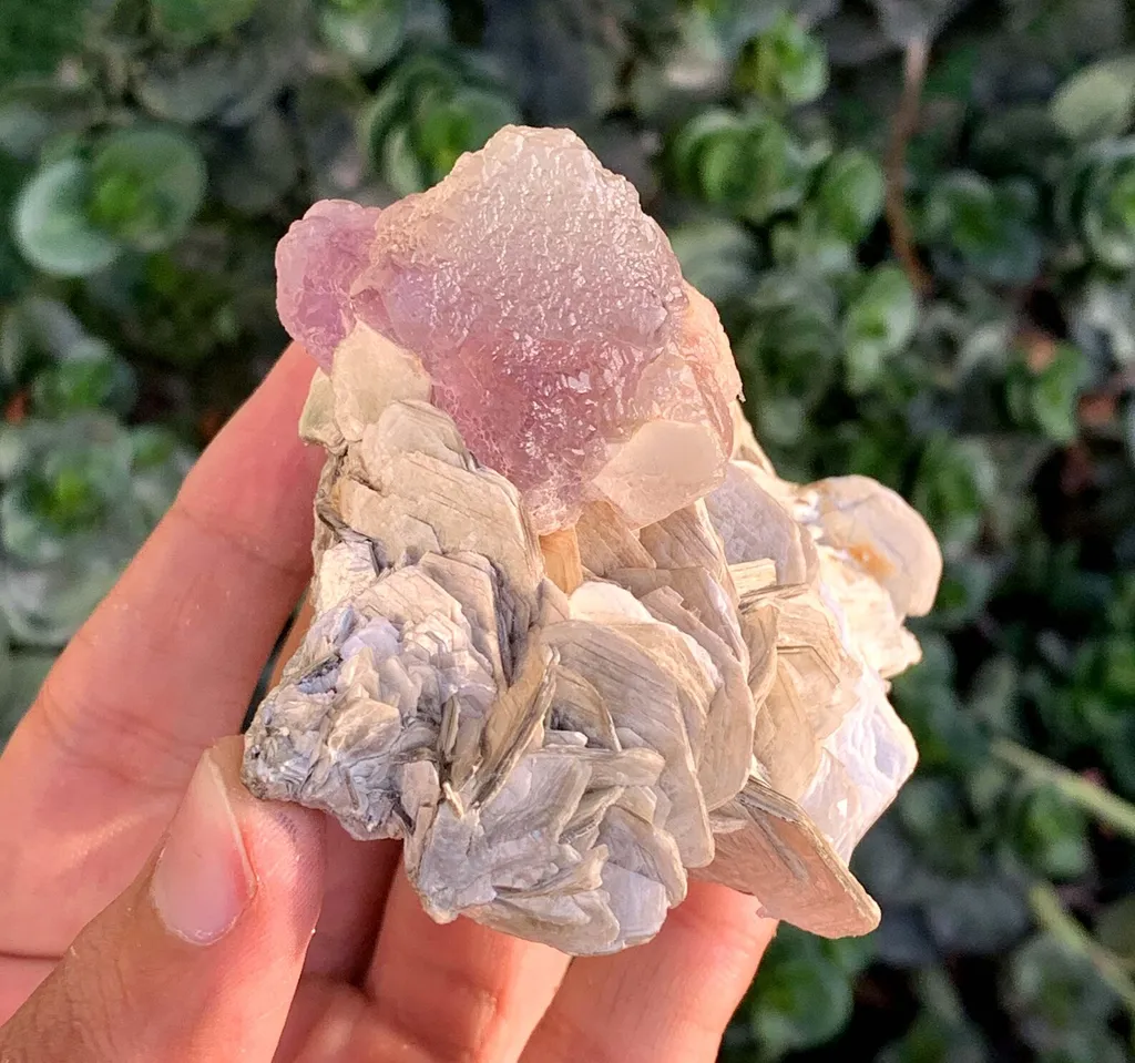 Natural Triangle Bicolor Fluorite Crystal on Muscovite Mica from Pakistan - image 6