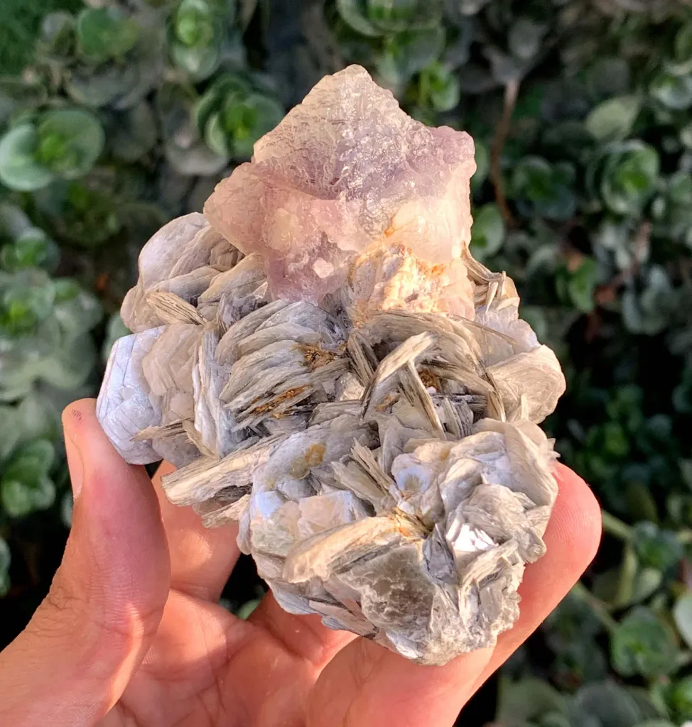 Natural Triangle Bicolor Fluorite Crystal on Muscovite Mica from Pakistan - image 4