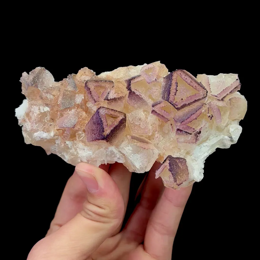 specimen video