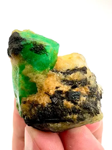 specimen video