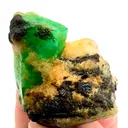 specimen video